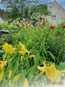 Garten Einzigartige Lebens- und Gesch�ftschance: Landgasthof mit 31 Zimmern in idyllischer Naturlage
