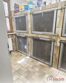 Boxen Vielseitig nutzbare Gewerbefl�che mit 171?m� - ideal f�r Praxis, B�ro oder Studio