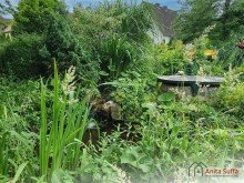 Biergarten-Teich Einzigartige Lebens- und Gesch�ftschance: Landgasthof mit 31 Zimmern in idyllischer Naturlage