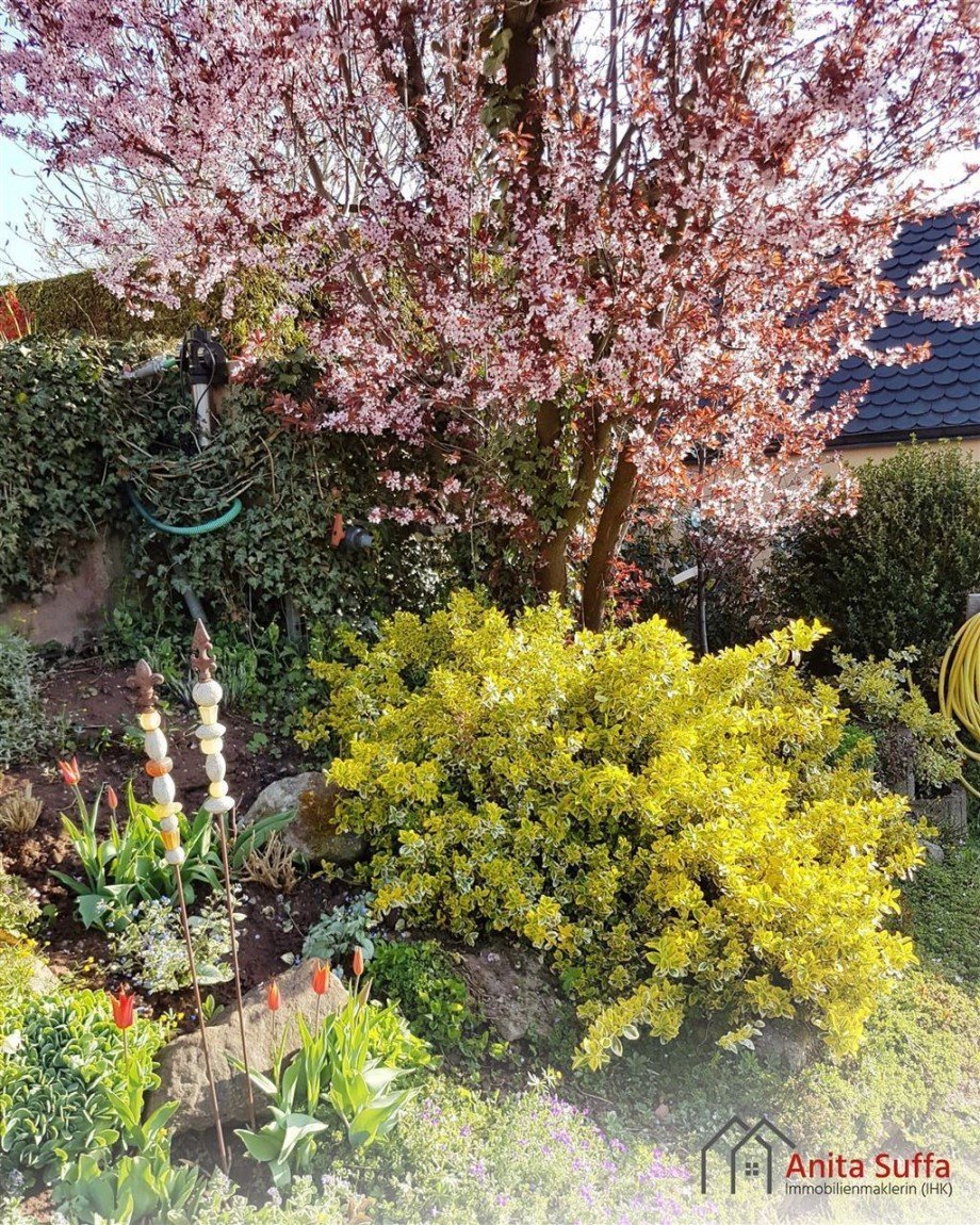 Impressionen Mehrfamilienhaus M�nchsteinach