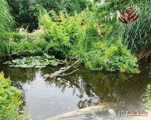 Bewohner im Teich Einzigartige Lebens- und Gesch�ftschance: Landgasthof mit 31 Zimmern in idyllischer Naturlage