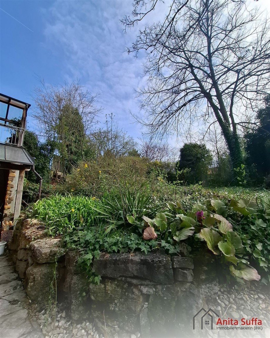 Blick in den Garten Einfamilienhaus Wachenroth