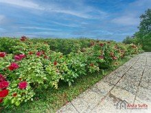 Rosenbeet Gro�z�giges Doppelhaus mit Weitblick, Gartenidylle und vielseitigen Nutzungsm�glichkeiten!