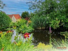 Biergarten-Teich Einzigartige Lebens- und Gesch�ftschance: Landgasthof mit 31 Zimmern in idyllischer Naturlage
